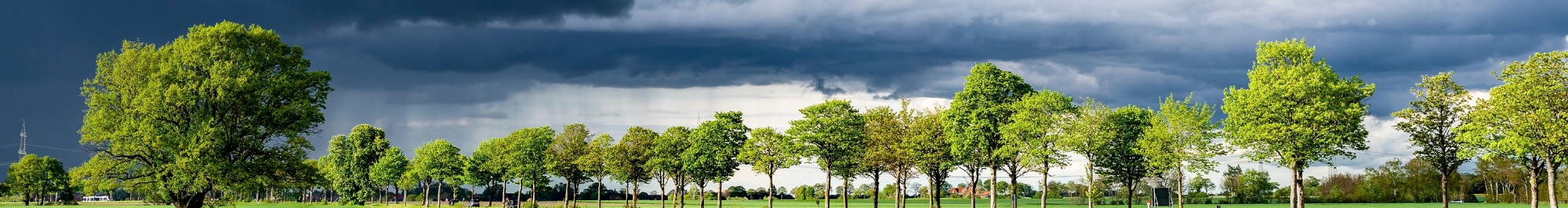 A dark and cloudy sky over two green fields divided by a row of bright, leafy, green trees.